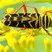 Longicorne tigré du robinier (Megacyllene robiniae)