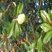 Jardin des Plantes 5
