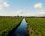 Le polder du Treustel (île Tudy)