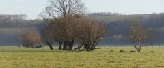 DSC01930 1