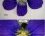 Violette papilionacée-la fleur