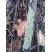 Lichen squamuleux