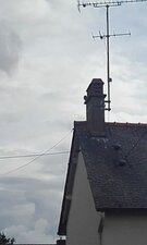 Chevêche d