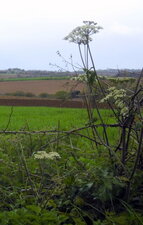 Berce commune