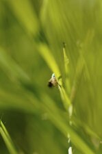 Mais qui se cache là-bas derrière ?