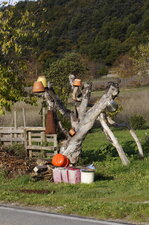 Arbre à pots