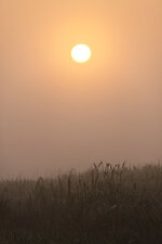 Lever de soleil sur la nature