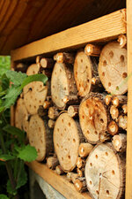 Nichoir à abeilles sauvages