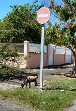 Cabris