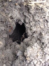 Cachette pour araignée
