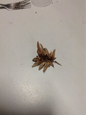 Feuille en forme de fleur