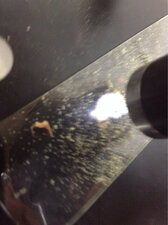 Pollen