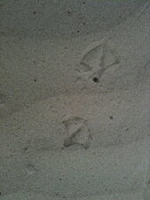 Traces n°2