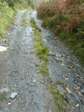 Chemin pierreux