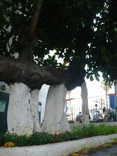 Truc de ouf (V)