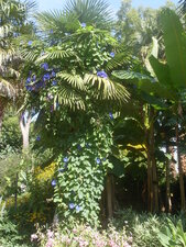 Cohabitation naturelle