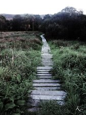 Le sentier des korrigans