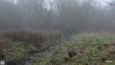 Paysage Breton