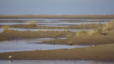 Plage de l