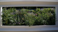 Tableau floral