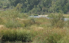 Berges de la Durance