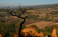 Coloroda provençal