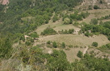 Alpage de moyenne montagne