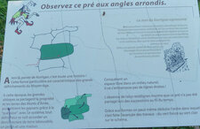 Pré aux angles arrondis