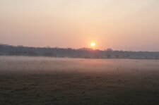 Petit matin brumeux