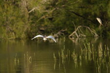 Rencontre au sommet ?