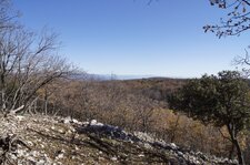 Point de vue sur les Alpes