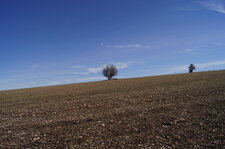 Champ de cailloux