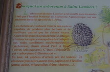 Pourquoi un arboretum à St Lambert ?