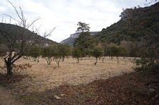 Truffière