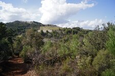 Entre forêts et vergers
