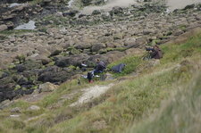 Homo sapiens ornithologidae