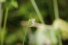 Penderie pour araignées