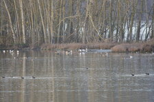 Remise d