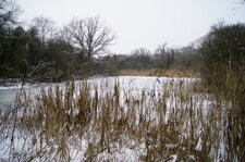 Patinoire naturelle