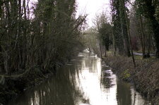 La Marque le long du Bois d
