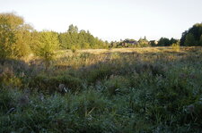 Marais de la Marque