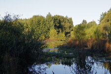 Marais de la Marque