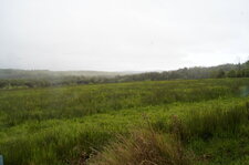 Prairie humide