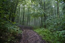 Bois départemental de Roquelaure
