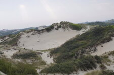 La Dune Marchand