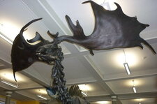 Cerf géant d