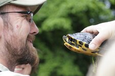 La pauvre tortue traumatisée à vie, pour le coup !