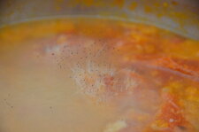 Moisissure sur une ratatouille