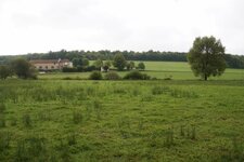Prairie humide...