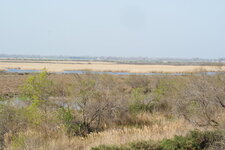 Paysage de camargue